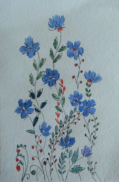 Wildflowers