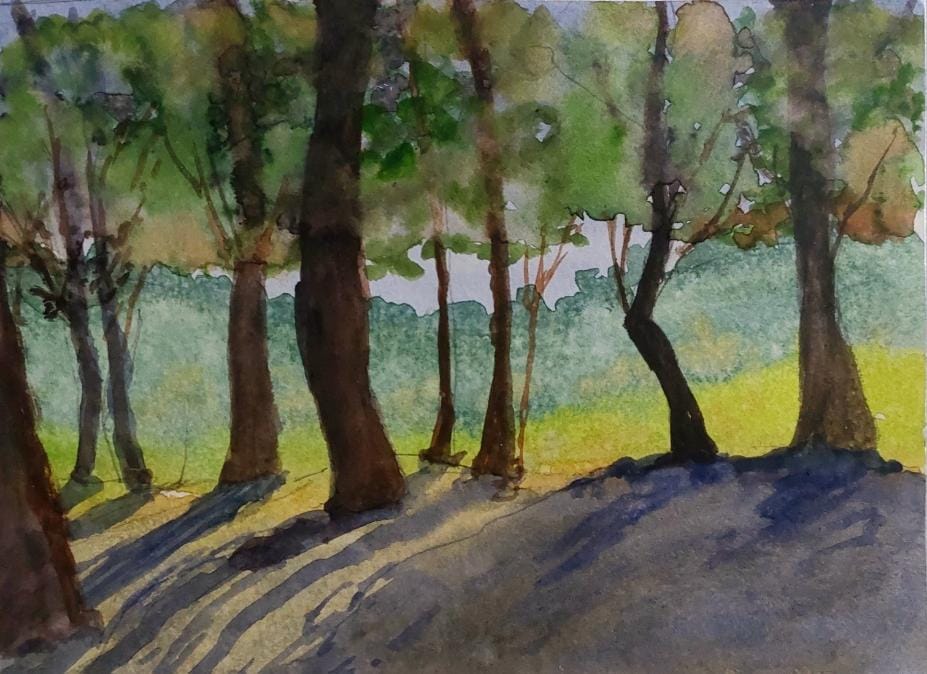 Shadows That Sing original watercolor painting of woodland trees casting long rhythmic shadows across a sunlit meadow